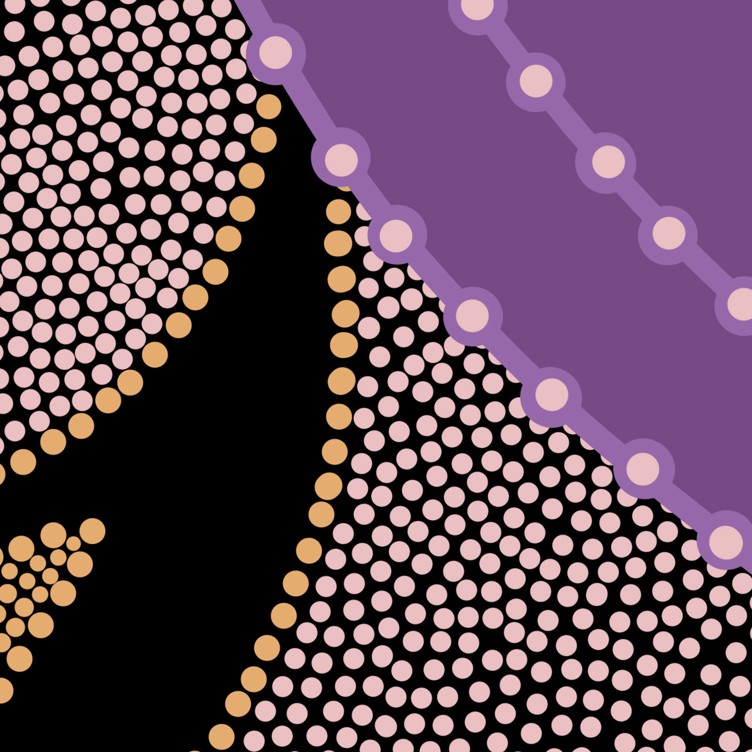 FW0523_NAIDOC-Week_LnkBio