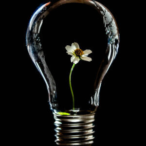 FW1125_SBT_allthree2